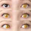 Sweety Crazy Orange Demon Eye / Cat Eye (New) (1 lens/pack)-Crazy Contacts-UNIQSO