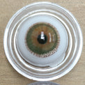 Urban Layer Angeles N Brown (1 lens/pack)-Colored Contacts-UNIQSO