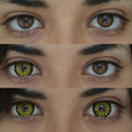 Sweety Firefly Yellow (1 lens/pack)-Colored Contacts-UNIQSO