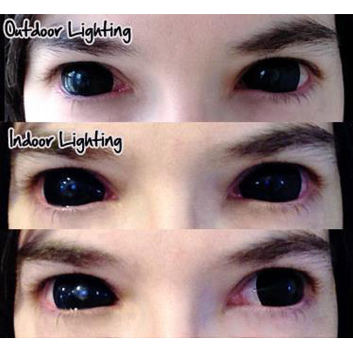 Kazzue Black Sclera Contacts Sabretooth/Blackout/Black with Prescription (1 lens/pack)-Sclera Contacts-UNIQSO