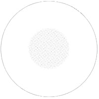 Sweety Crazy White Blind Mesh / Storm White (1 lens/pack)-Crazy Contacts-UNIQSO