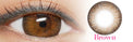 I-Codi Chou Cream Brown (1 lens/pack)-Colored Contacts-UNIQSO