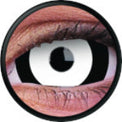 Colorvue Mini Sclera Lens The Doom - 3 Months Disposable (2 lenses/pack)-Mini Sclera Contacts-UNIQSO