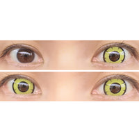 Kazzue Twilight Yellow (1 lens/pack)-Colored Contacts-UNIQSO